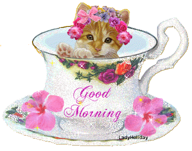 Gud Morning from Kitten