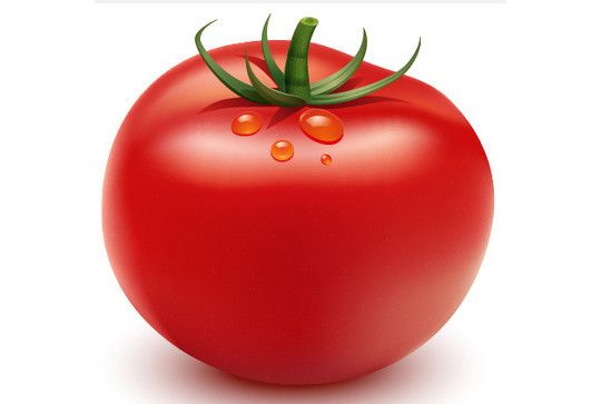 Illustrate-a-Tomato-Using-Adobe-Illustrator