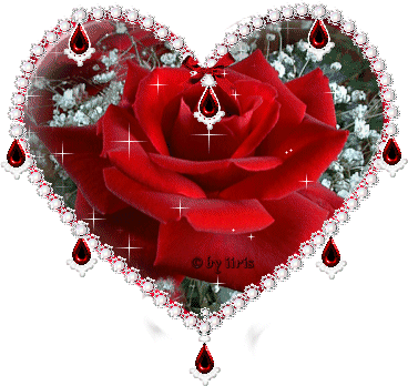 TANVEER