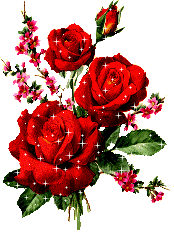 TANVEER