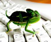 cute gree