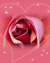 FOR YOU