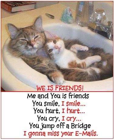 V R FRNDS