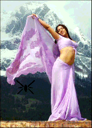 Charmi