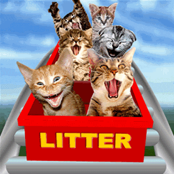 CAT FAMILY