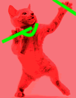 Dancing CAT