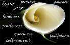 Spiritual fruit