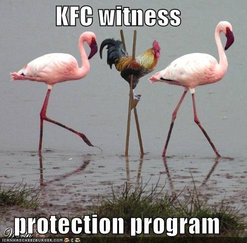 kfc witne