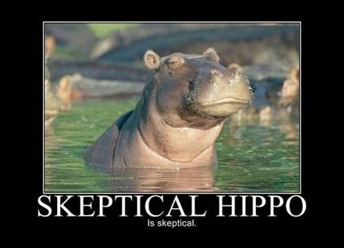 skeptical
