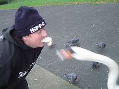 Me feeding a swan lol