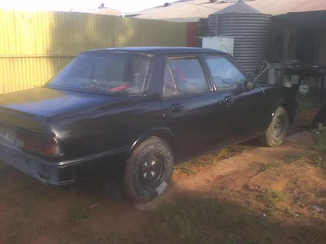 My 81 maz