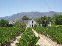 Paarl winelands