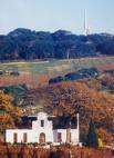 Paarl2