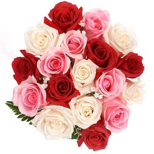 Rosepink this is 4 u!!