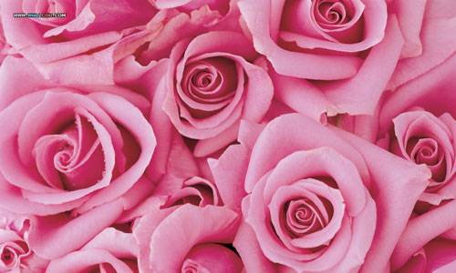 To my love!!
