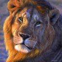LOIN9