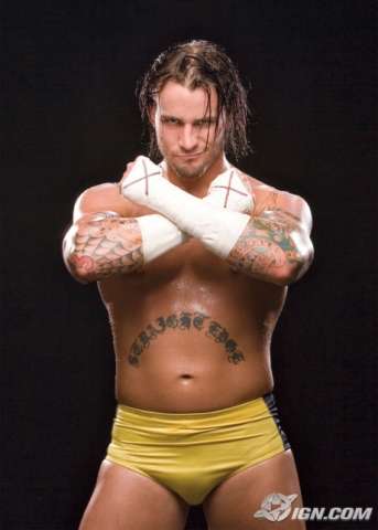 c.m punk 