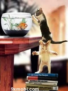 Funny