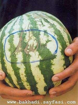 Allah on Watermelon