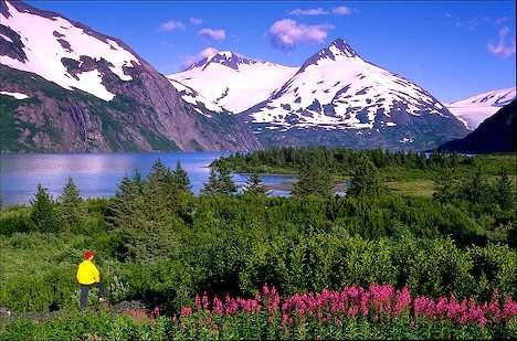 Scenery
