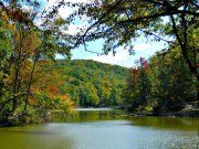 Beauty of Nature 5