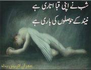 V N Desig