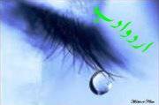 urdu adab