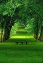 Beauty of Nature