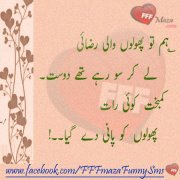 N designe