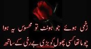 V nice de