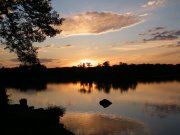 Beauty of Nature 13