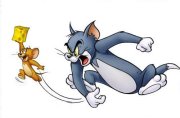 Tom n jer