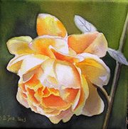 Flower 1