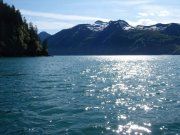 Beauty of Nature 10