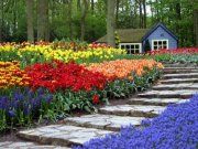 Beauty of Nature 9
