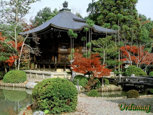 Seiryoji Temple_ Kyoto_ Japan