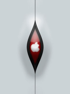 240*320