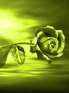 Green ros