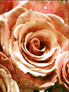 Flower le