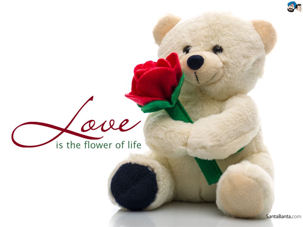 love