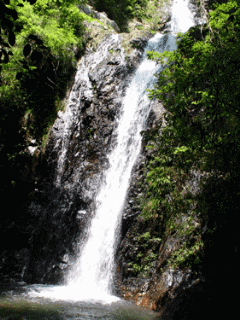 Water falls