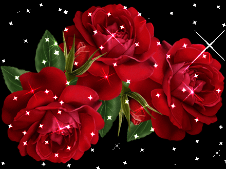 roses1