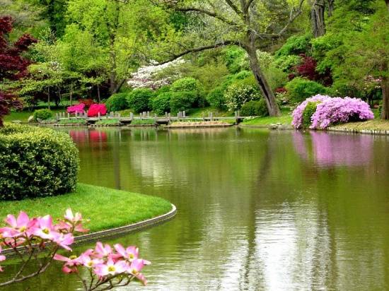 beatiful 