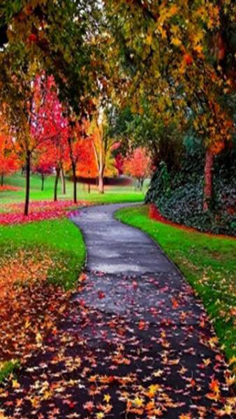 colourful