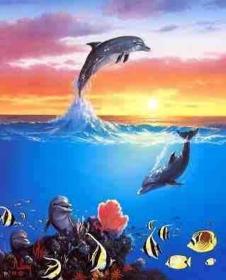 Dolphins: