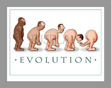 Evolution