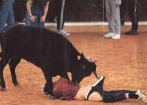 bully