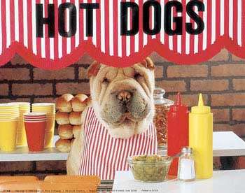 Hot Dogs