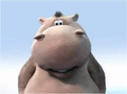 hippo