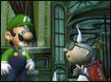 luigis ma